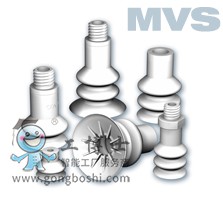 mvs-coval(1)