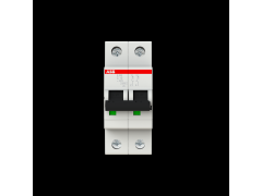 ABB2CDS252001R0104 2-pol automatic fuse  ˿