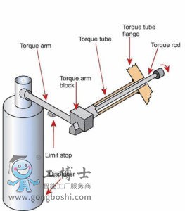 Torque-tube-displacer-transmitter-72-dpi-263x300