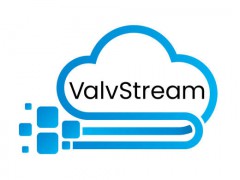 ValvStream    Masoneilan